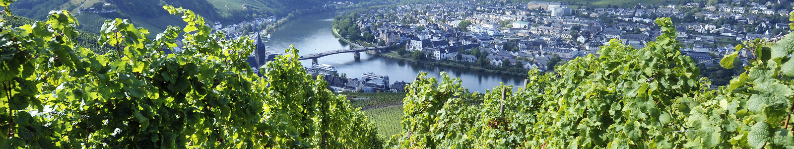 Blick durch die Weinberge auf die Mosel © Dienstleistungszentren Ländlicher Raum